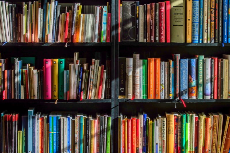 ecommerce-SAORGE-min_books_bookstore_book_reading_shop_writer_sale_books_read-822866